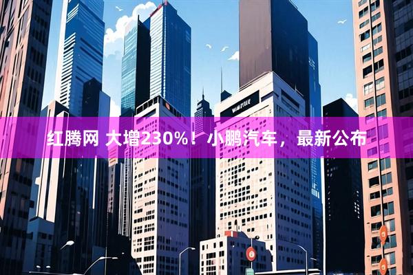 红腾网 大增230%！小鹏汽车，最新公布