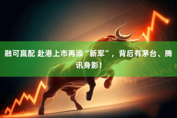 融可赢配 赴港上市再添“新军”，背后有茅台、腾讯身影！