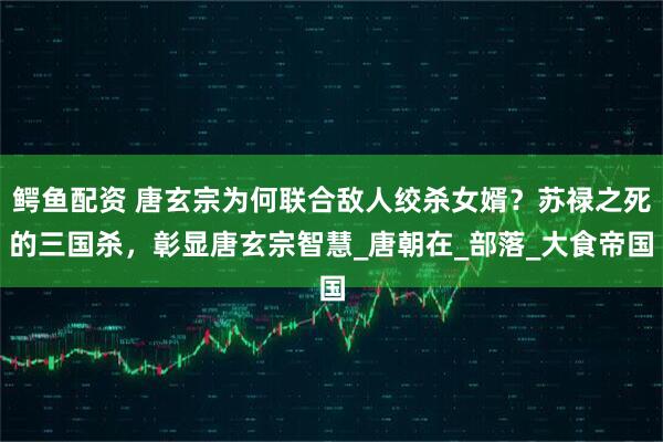 鳄鱼配资 唐玄宗为何联合敌人绞杀女婿？苏禄之死的三国杀，彰显唐玄宗智慧_唐朝在_部落_大食帝国