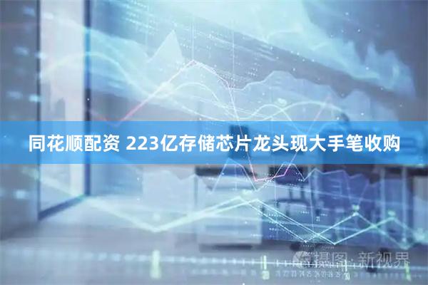 同花顺配资 223亿存储芯片龙头现大手笔收购