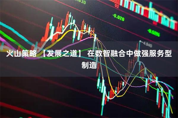 火山策略 【发展之道】 在数智融合中做强服务型制造