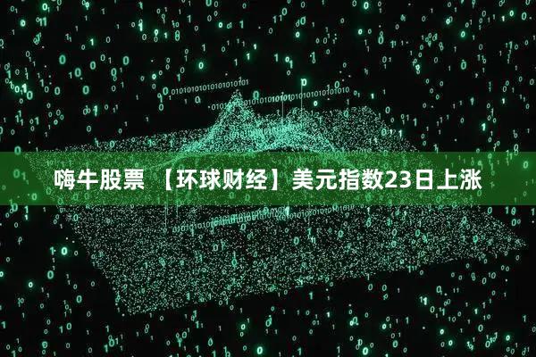 嗨牛股票 【环球财经】美元指数23日上涨