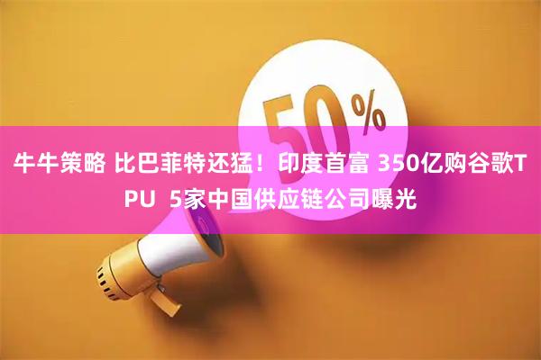 牛牛策略 比巴菲特还猛！印度首富 350亿购谷歌TPU  5家中国供应链公司曝光