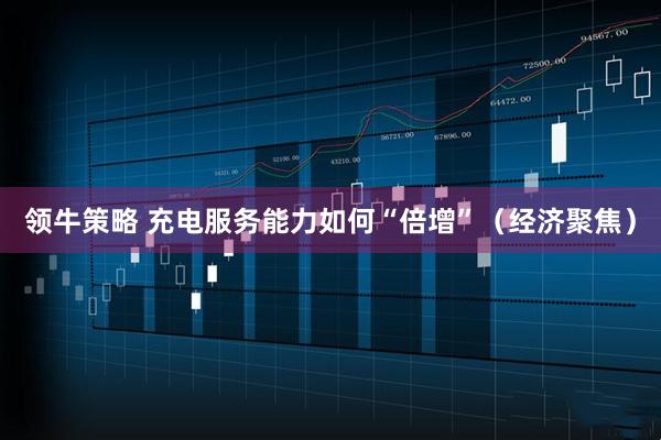 领牛策略 充电服务能力如何“倍增”(经济聚焦)
