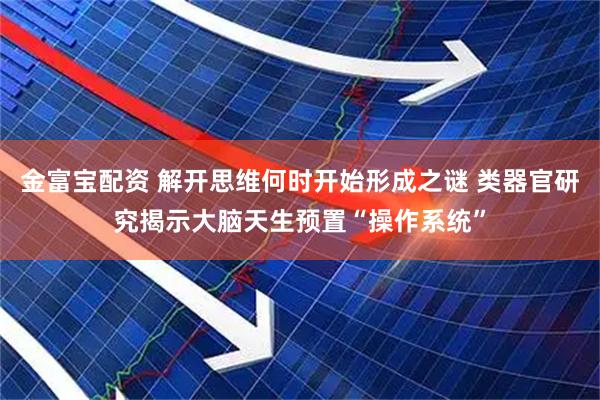 金富宝配资 解开思维何时开始形成之谜 类器官研究揭示大脑天生预置“操作系统”