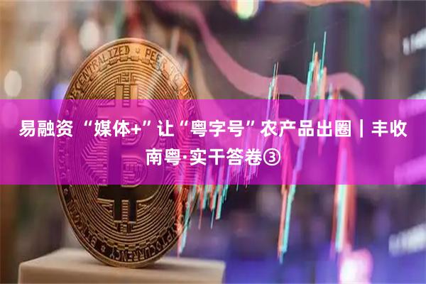 易融资 “媒体+”让“粤字号”农产品出圈|丰收南粤·实干答卷③